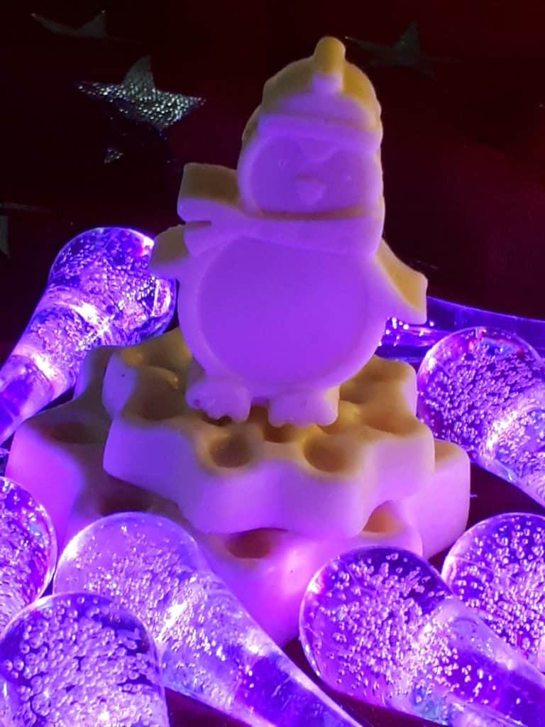 Festive Penguin - Saint Hill Christmas Fair