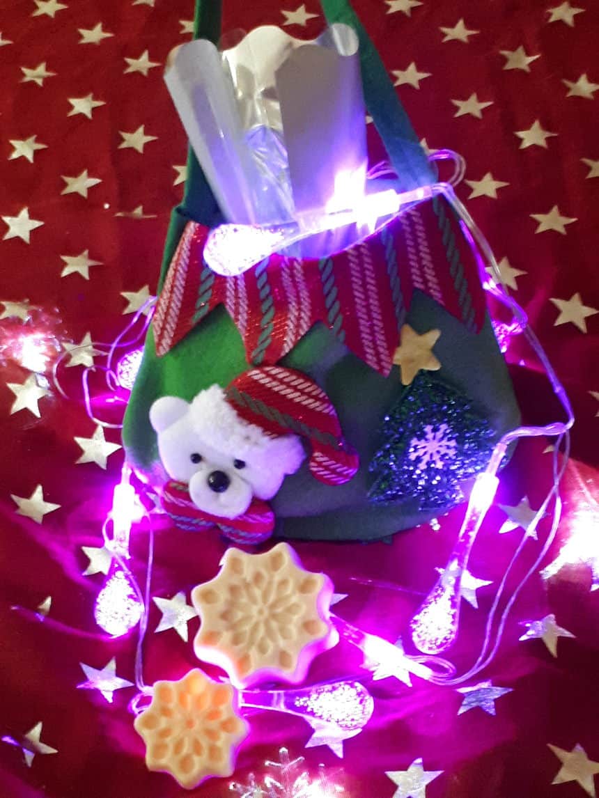 Festive Bear Bag