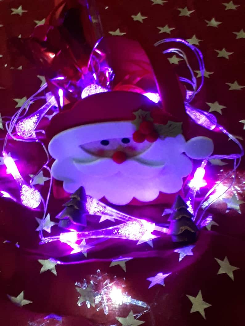 Santa Bag
