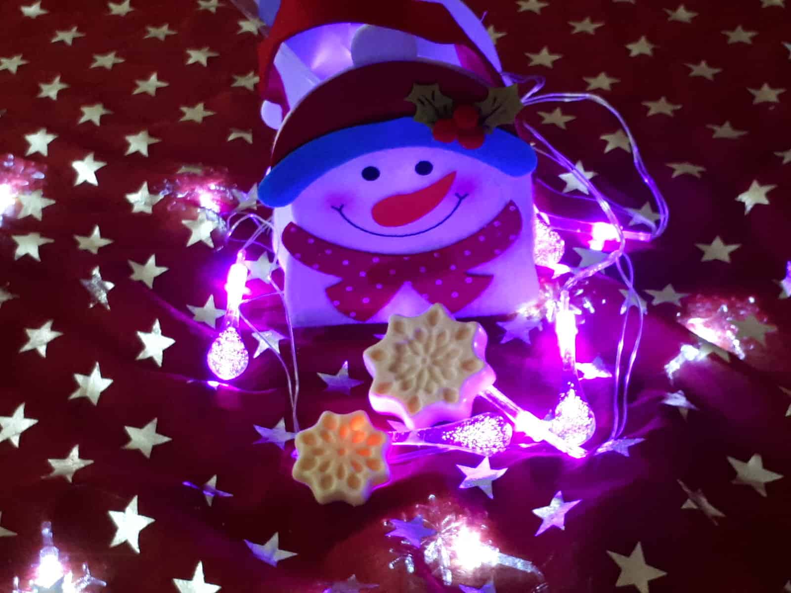 Snowman Gift Bag