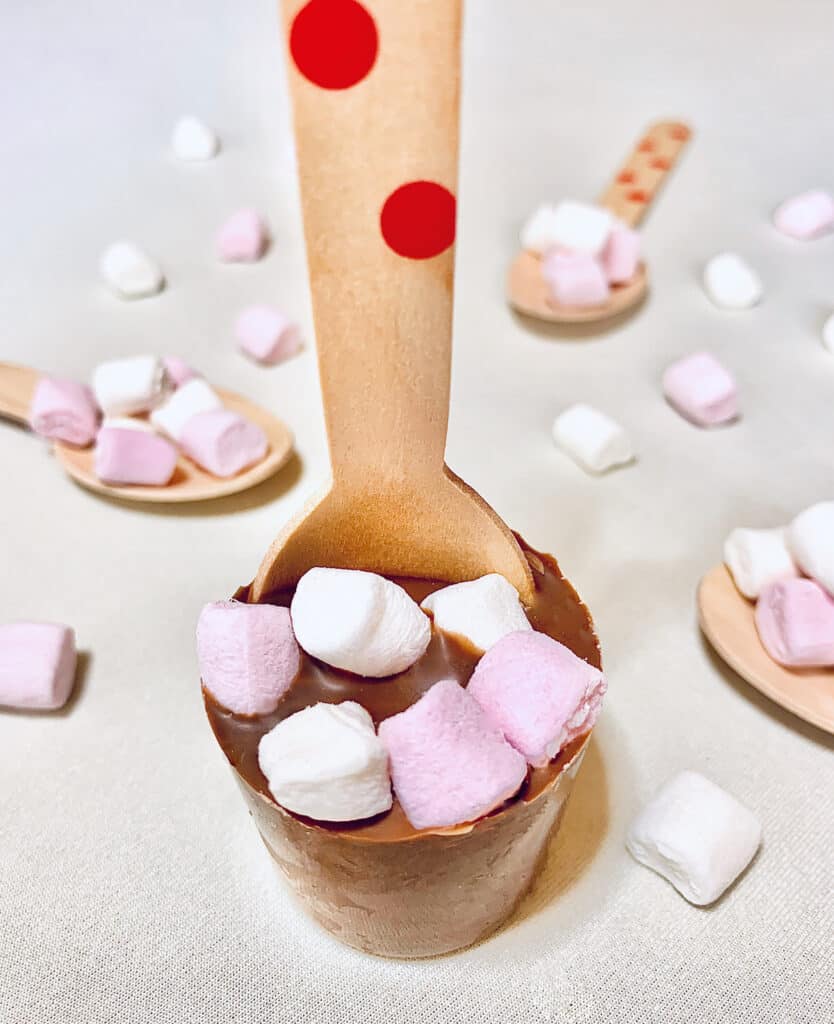 Spoon Chocolate