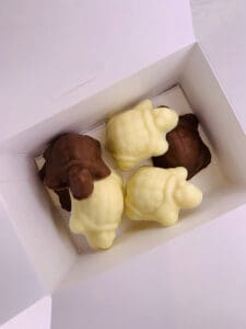 Chocolate Turtles