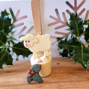 Hot Chocolate Spoon Set