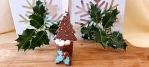 Hot Chocolate Spoons with Marshmallows